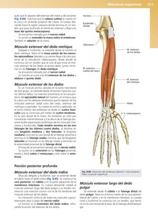Anatomía Clínica Pró.pdf