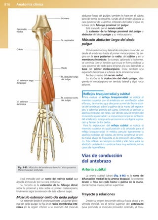 Anatomía Clínica Pró.pdf