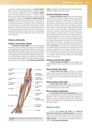 Anatomía Clínica Pró.pdf