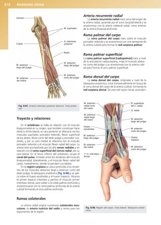 Anatomía Clínica Pró.pdf