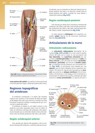Anatomía Clínica Pró.pdf