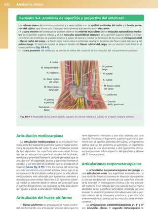 Anatomía Clínica Pró.pdf