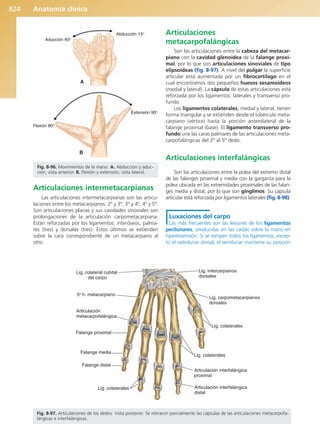 Anatomía Clínica Pró.pdf