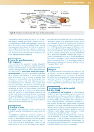 Anatomía Clínica Pró.pdf