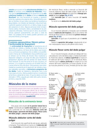 Anatomía Clínica Pró.pdf
