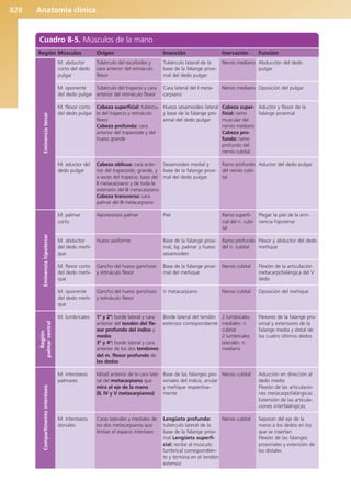 Anatomía Clínica Pró.pdf