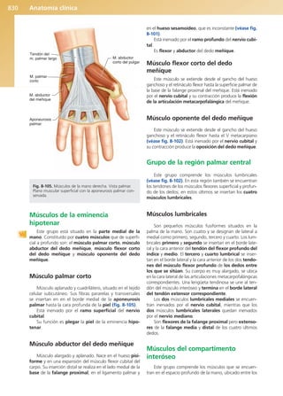 Anatomía Clínica Pró.pdf