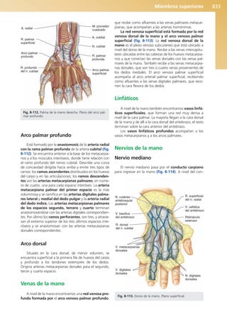 Anatomía Clínica Pró.pdf