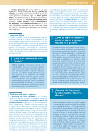 Anatomía Clínica Pró.pdf