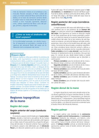 Anatomía Clínica Pró.pdf