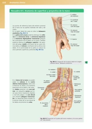 Anatomía Clínica Pró.pdf