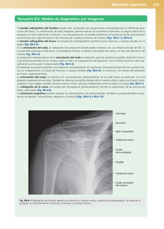 Anatomía Clínica Pró.pdf
