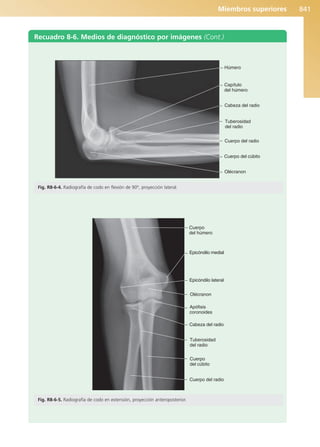 Anatomía Clínica Pró.pdf