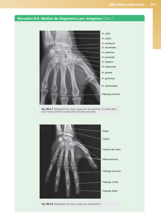 Anatomía Clínica Pró.pdf