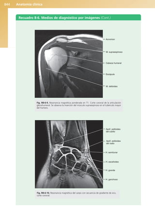 Anatomía Clínica Pró.pdf