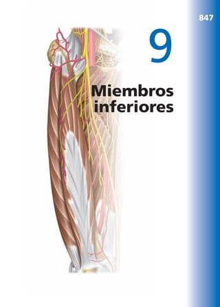 Anatomía Clínica Pró.pdf