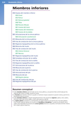 Anatomía Clínica Pró.pdf