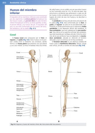 Anatomía Clínica Pró.pdf