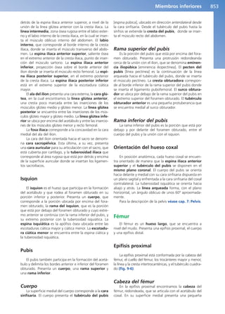 Anatomía Clínica Pró.pdf