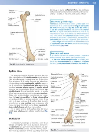 Anatomía Clínica Pró.pdf