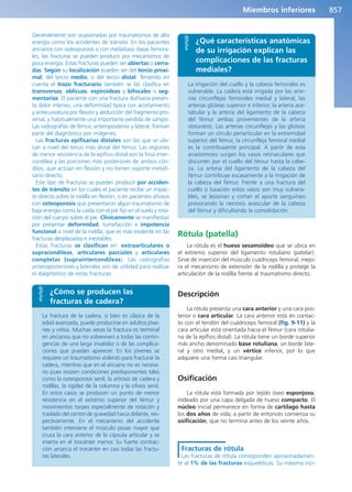 Anatomía Clínica Pró.pdf