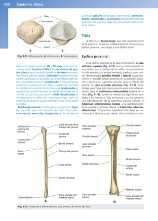 Anatomía Clínica Pró.pdf