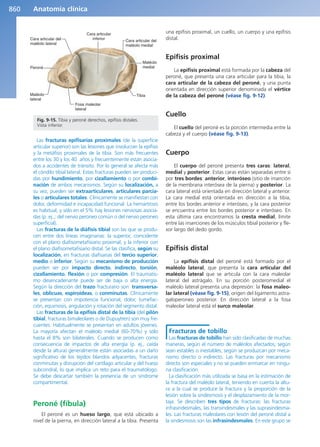 Anatomía Clínica Pró.pdf