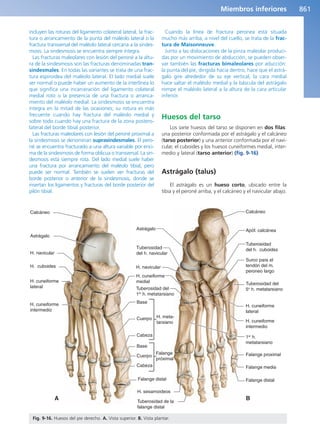 Anatomía Clínica Pró.pdf