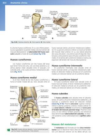 Anatomía Clínica Pró.pdf