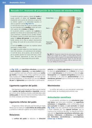 Anatomía Clínica Pró.pdf