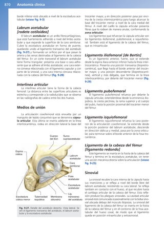 Anatomía Clínica Pró.pdf