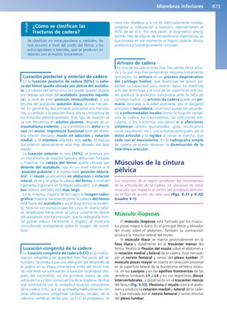 Anatomía Clínica Pró.pdf