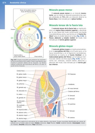 Anatomía Clínica Pró.pdf