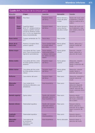 Anatomía Clínica Pró.pdf