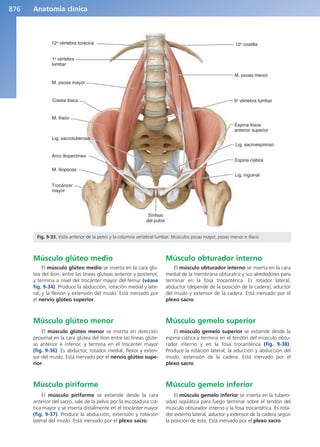 Anatomía Clínica Pró.pdf