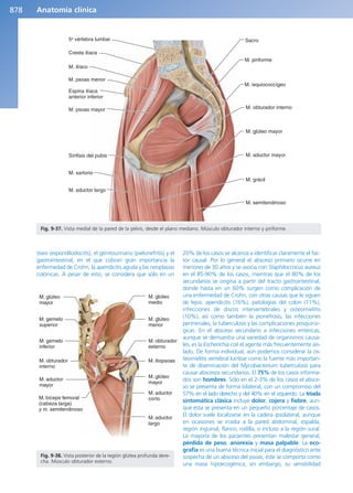 Anatomía Clínica Pró.pdf
