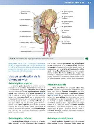 Anatomía Clínica Pró.pdf