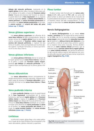 Anatomía Clínica Pró.pdf