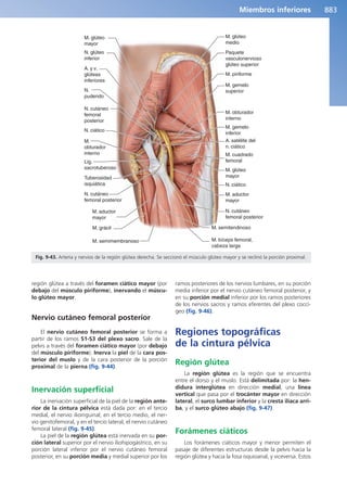 Anatomía Clínica Pró.pdf
