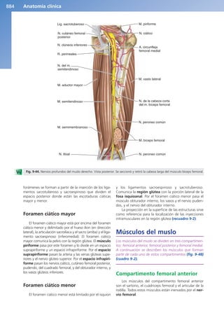 Anatomía Clínica Pró.pdf