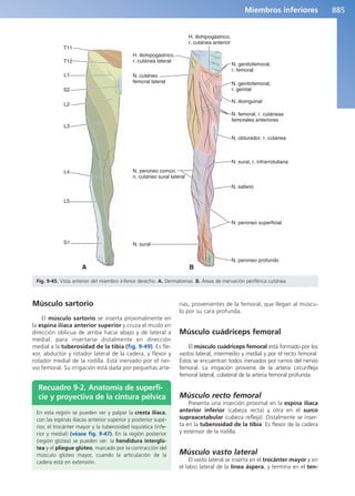 Anatomía Clínica Pró.pdf