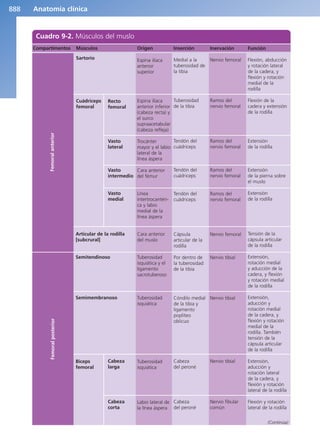 Anatomía Clínica Pró.pdf