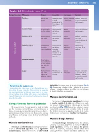 Anatomía Clínica Pró.pdf