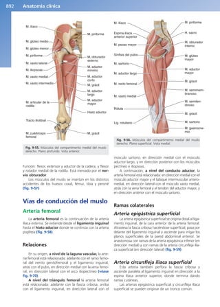 Anatomía Clínica Pró.pdf