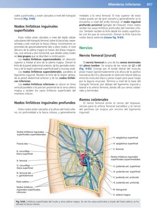 Anatomía Clínica Pró.pdf