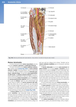 Anatomía Clínica Pró.pdf