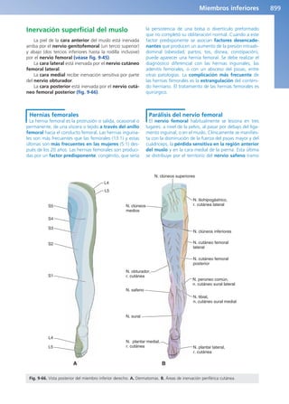 Anatomía Clínica Pró.pdf