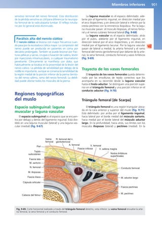 Anatomía Clínica Pró.pdf