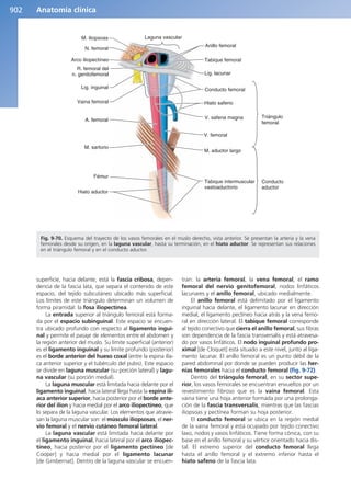 Anatomía Clínica Pró.pdf