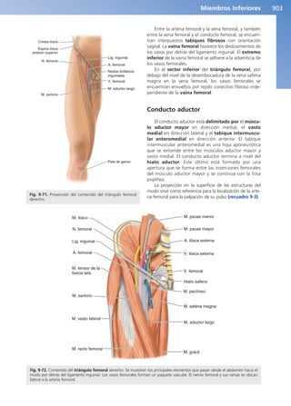Anatomía Clínica Pró.pdf